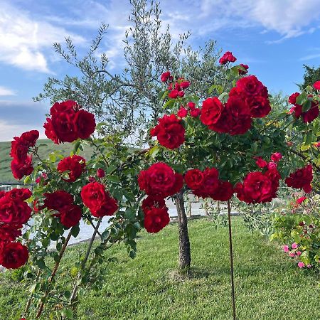 Masso Alle Rose Di Santarsiero Serena Montaione Luaran gambar