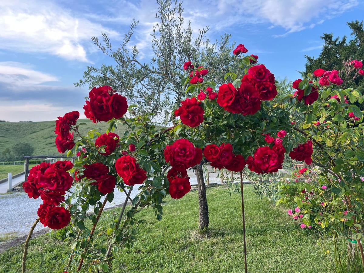 Masso Alle Rose Di Santarsiero Serena Montaione Luaran gambar